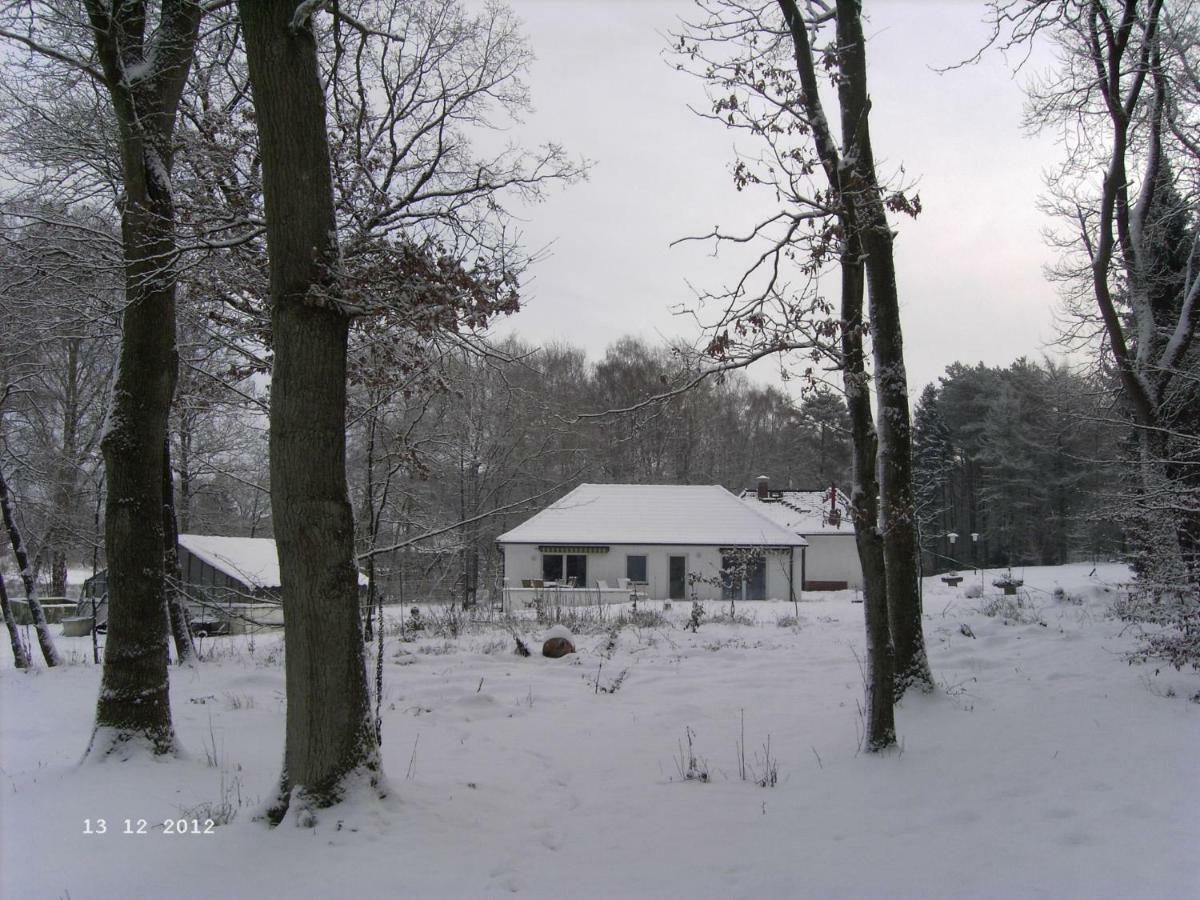 Ferienhaus Huus Ton Witten Barg Undeloh Eksteriør bilde